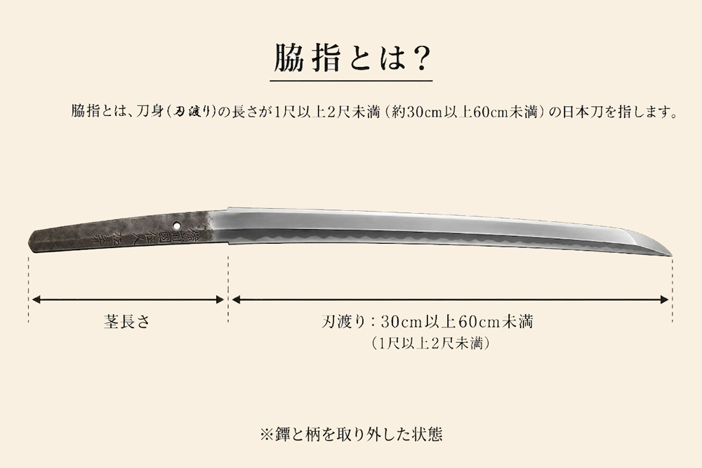 脇指の定義をイラスト化